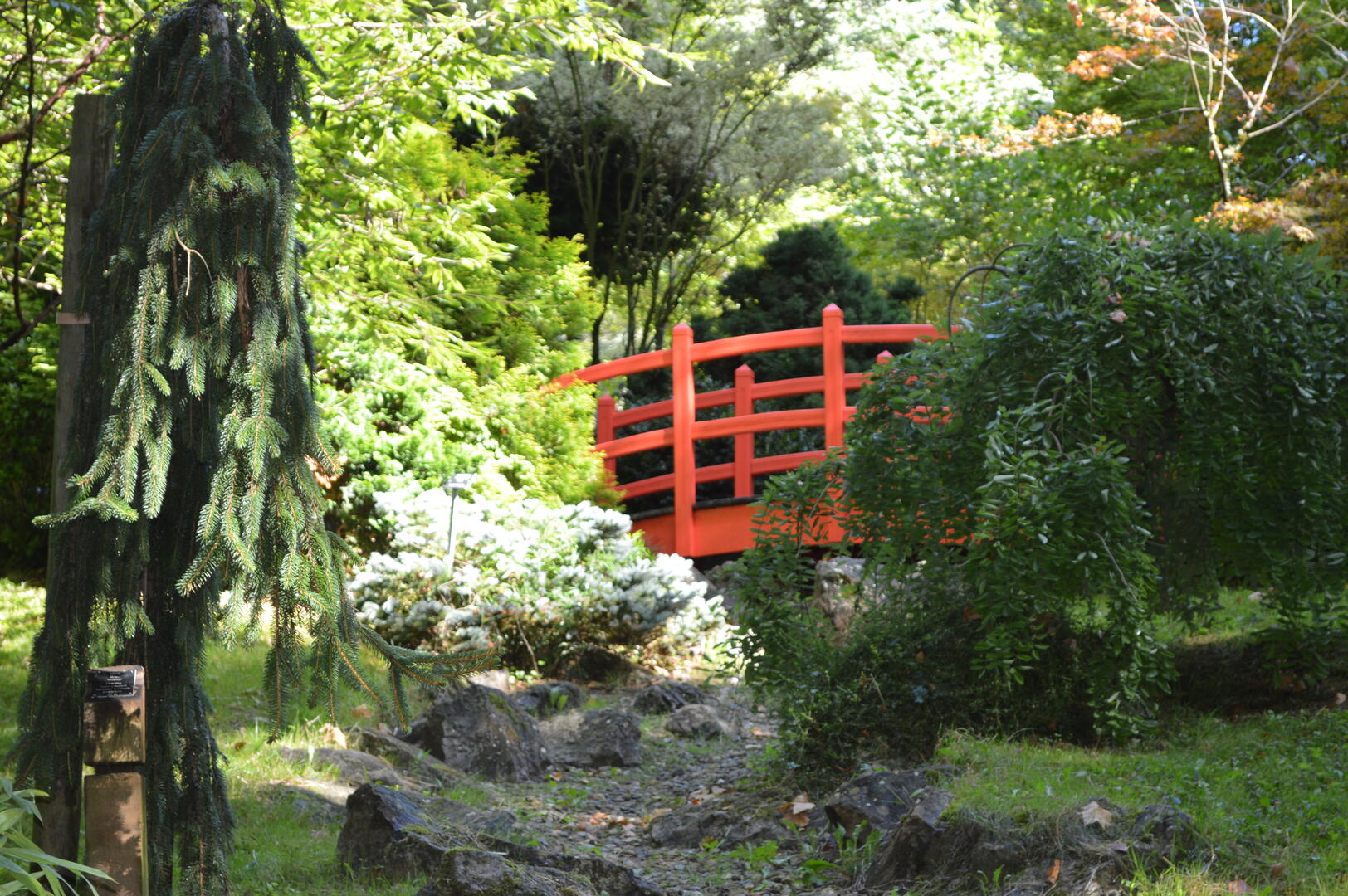 parc jean rameau.JPG