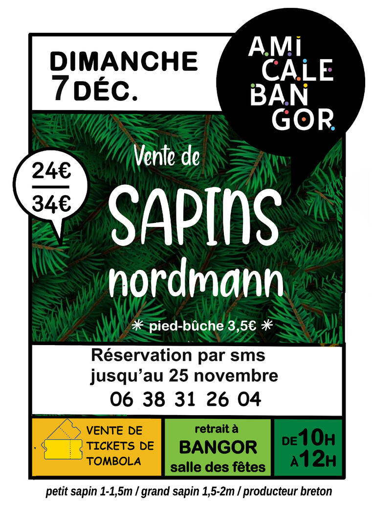AFFICHE NOEL.jpg