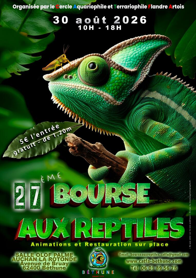 BR août 2026.jpg
