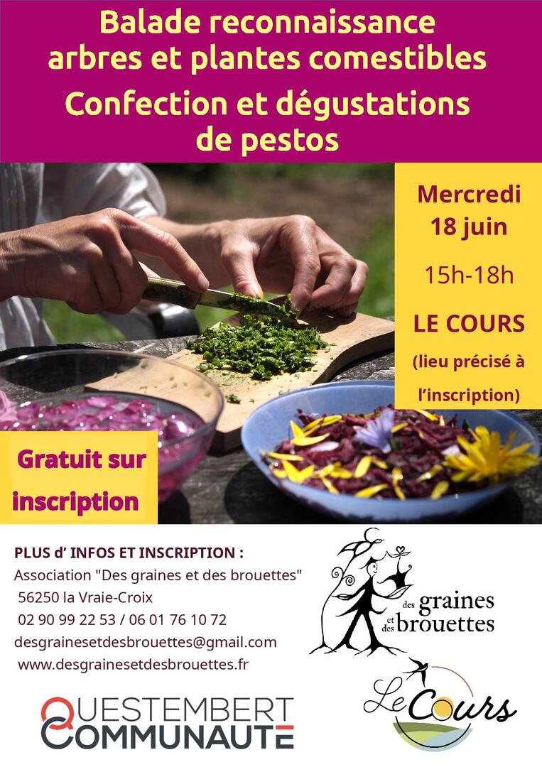 BALADE_ATELIER_PLANTES_COMESTIBLES_LE COURS.jpg