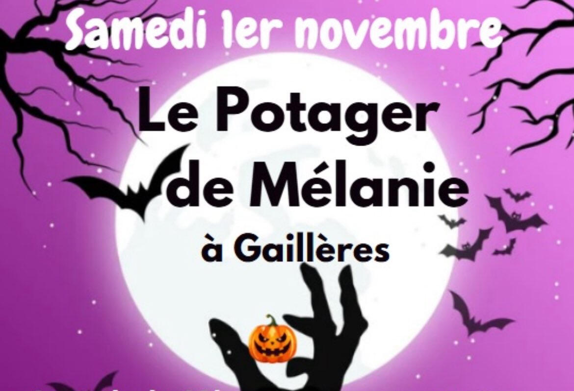 potager mélanie.jpg