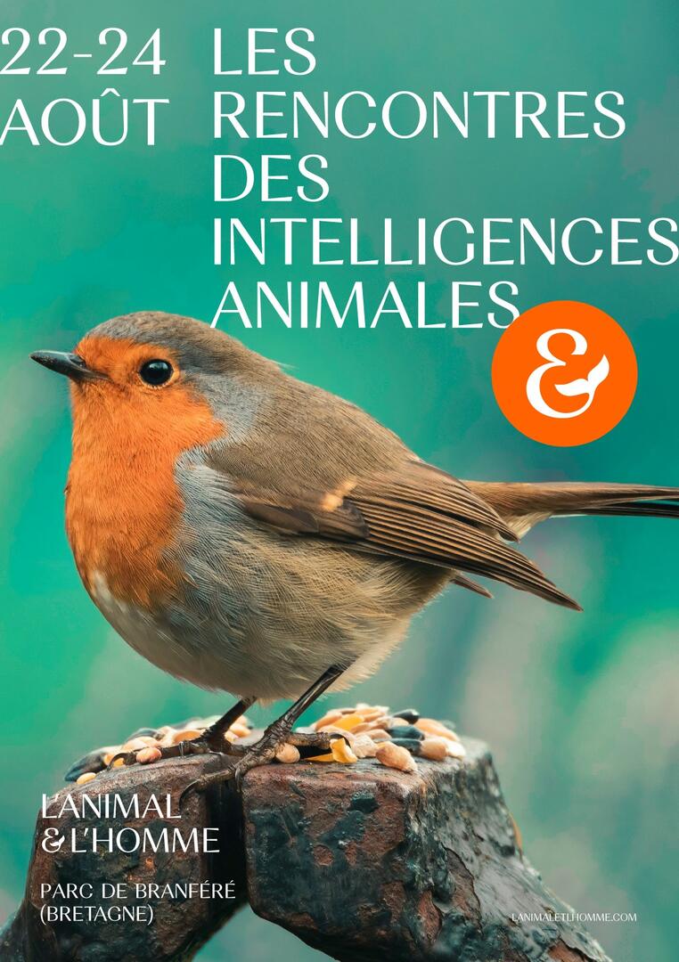 AffRencontres.jpg