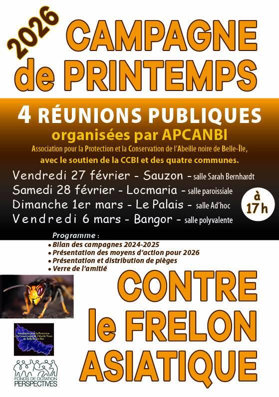 Réunion publique - Frelon asiatique.jpg