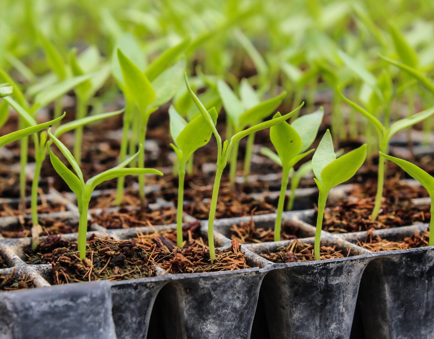 bourse d'échange.jpg