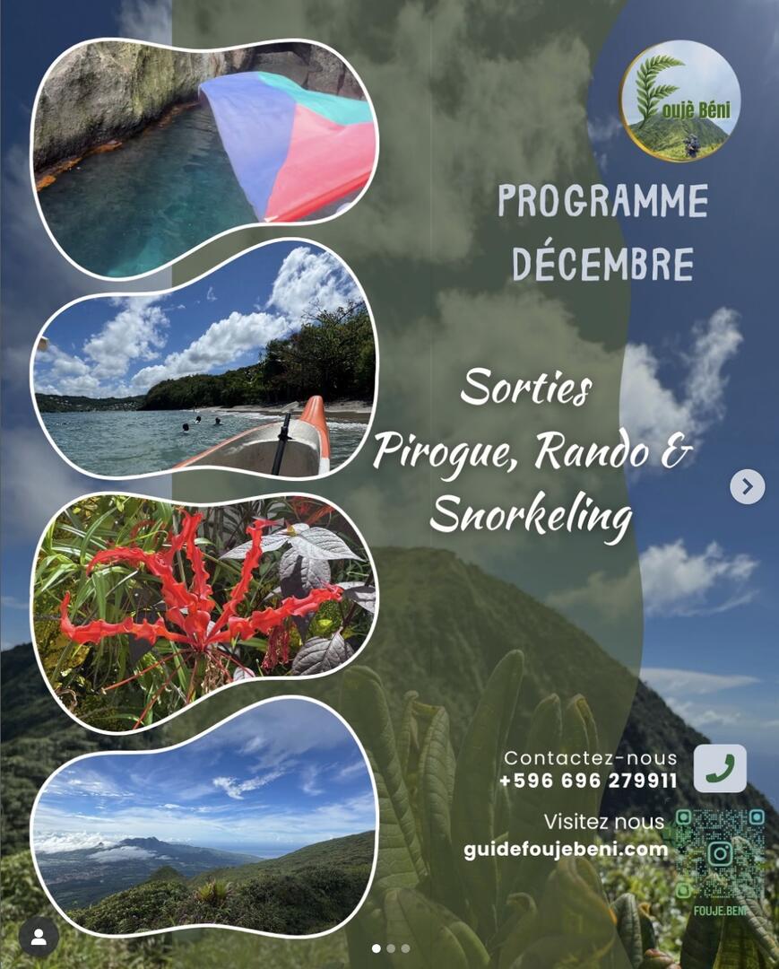 Capture d’écran 2025-12-02 à 10.48.51.jpeg