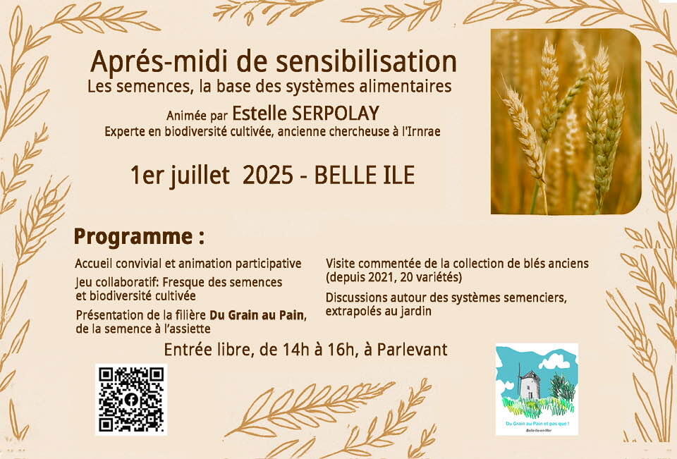 Du grain au pain.jpg