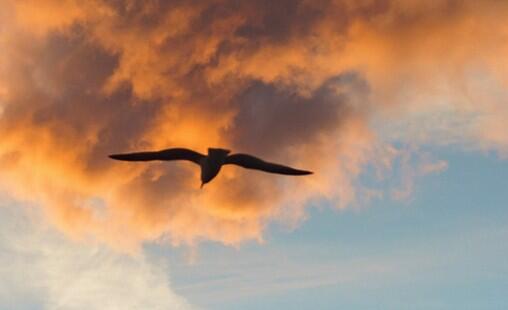 atelier gouter la poésie.jpg