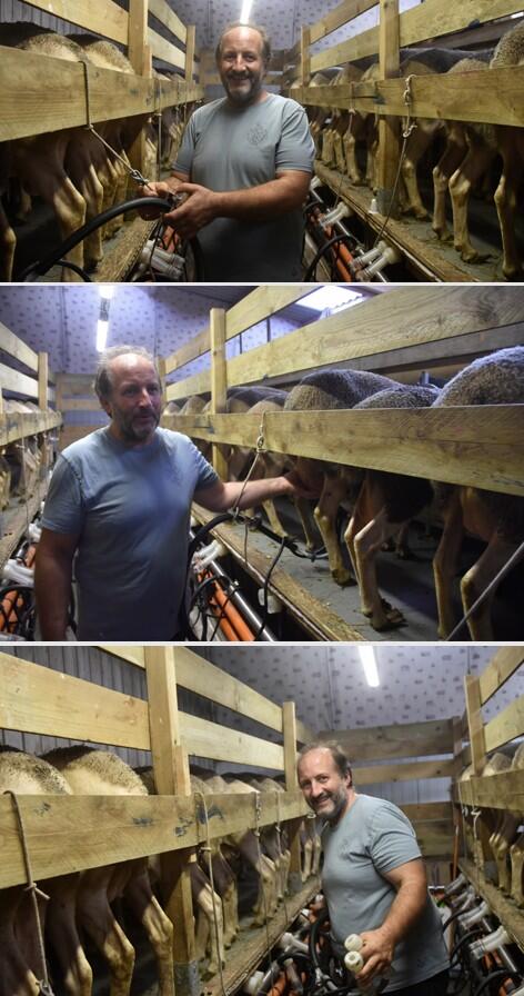 Visite de la salle de traite de la ferme des brebis.jpg