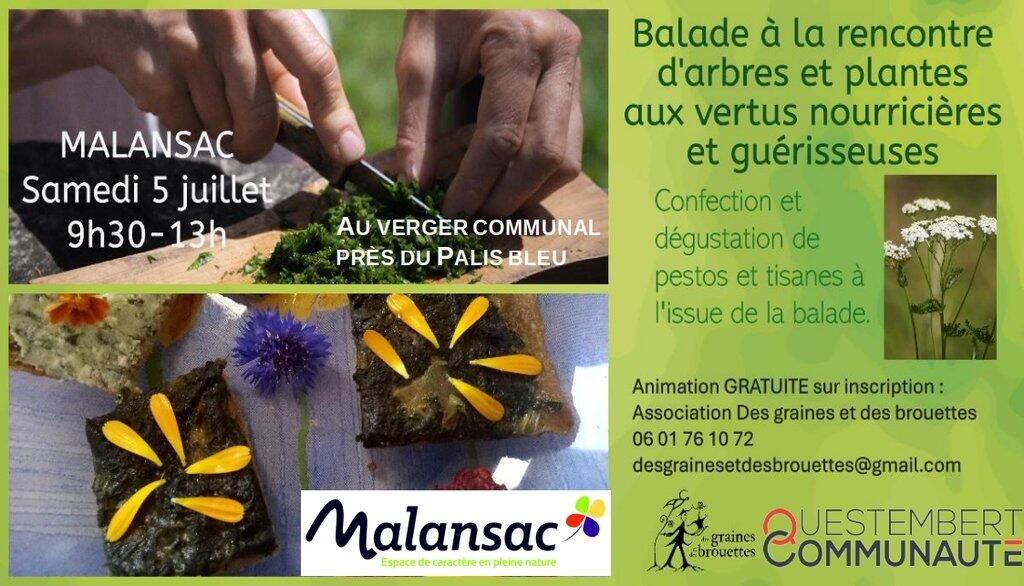 BaladeNatureMalansacDGDB.jpg