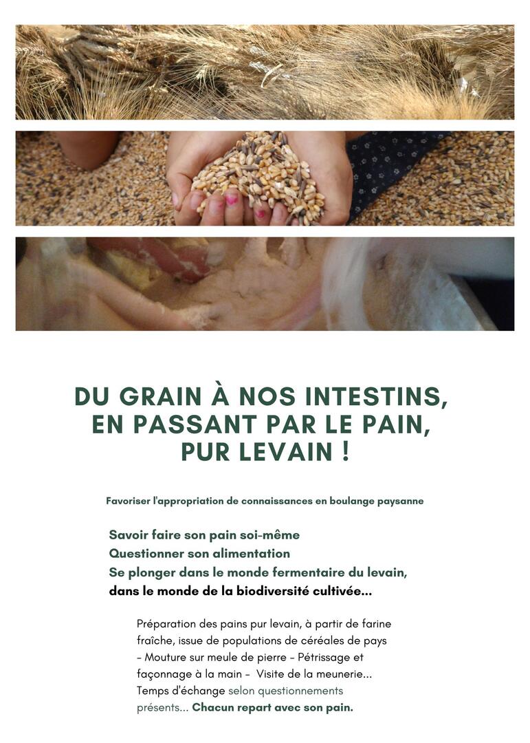 PainLevain.jpg