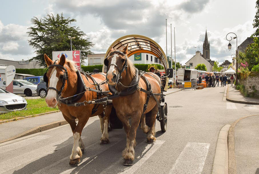 Balade-calèche-Questembert.jpg