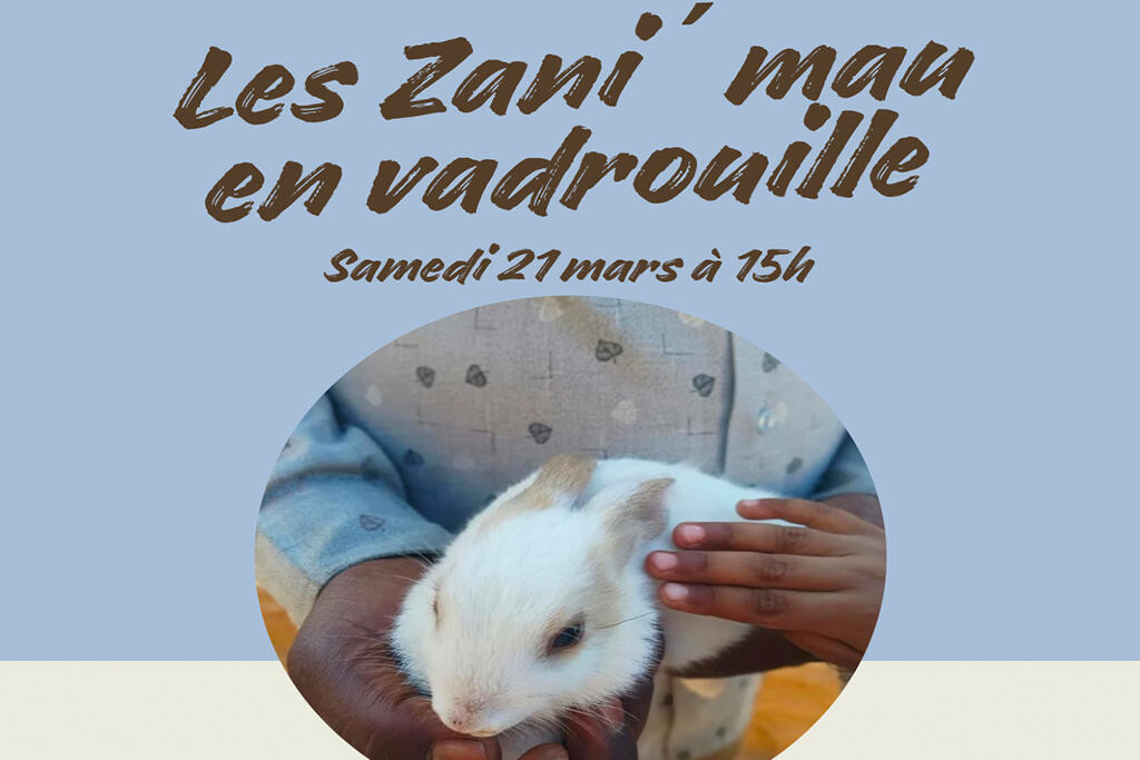 zanimaux.jpg