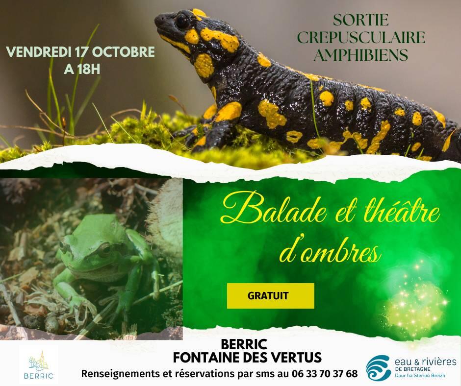 Animation Crépusculaire - Amphibiens - BERRIC.jpg