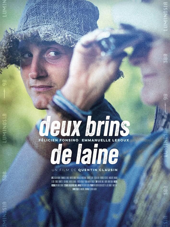 cinéma deux brins de laine.jpg