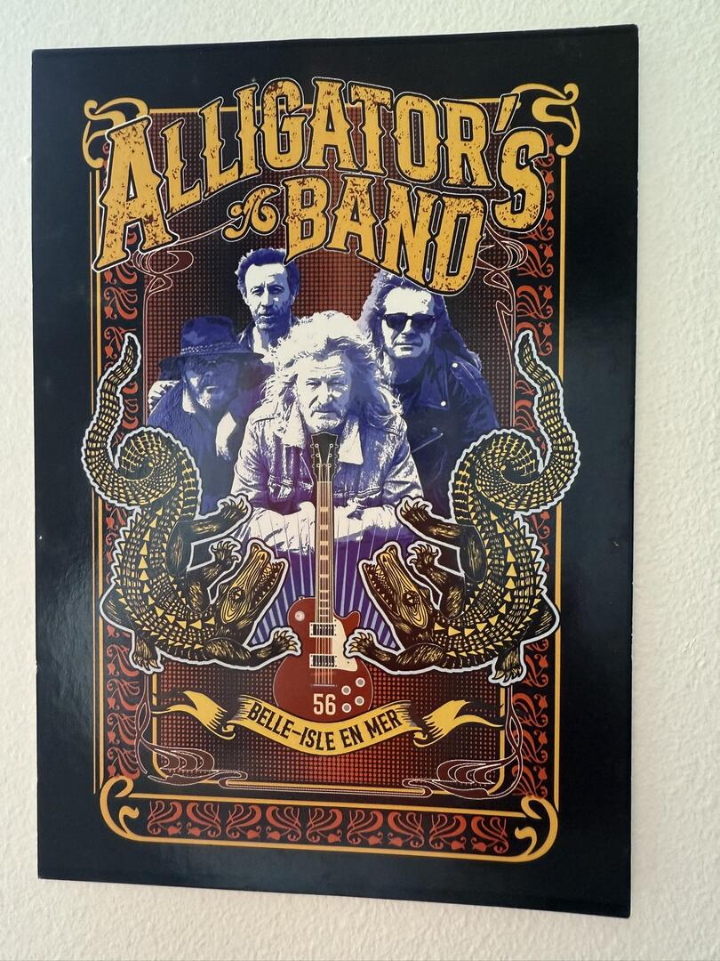 Alligators Band.jpg