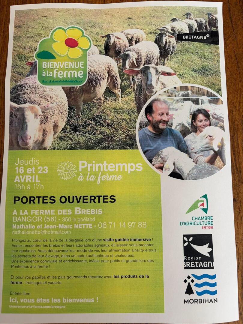 Bienvenue à la ferme des brebis.jpg