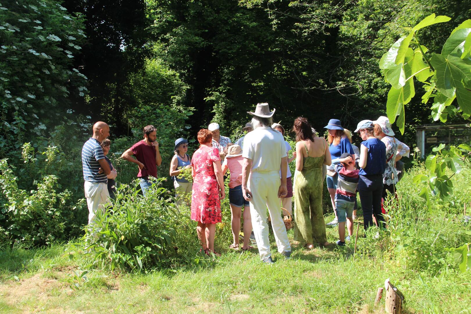 balade_reconnaissance_plantes.jpg
