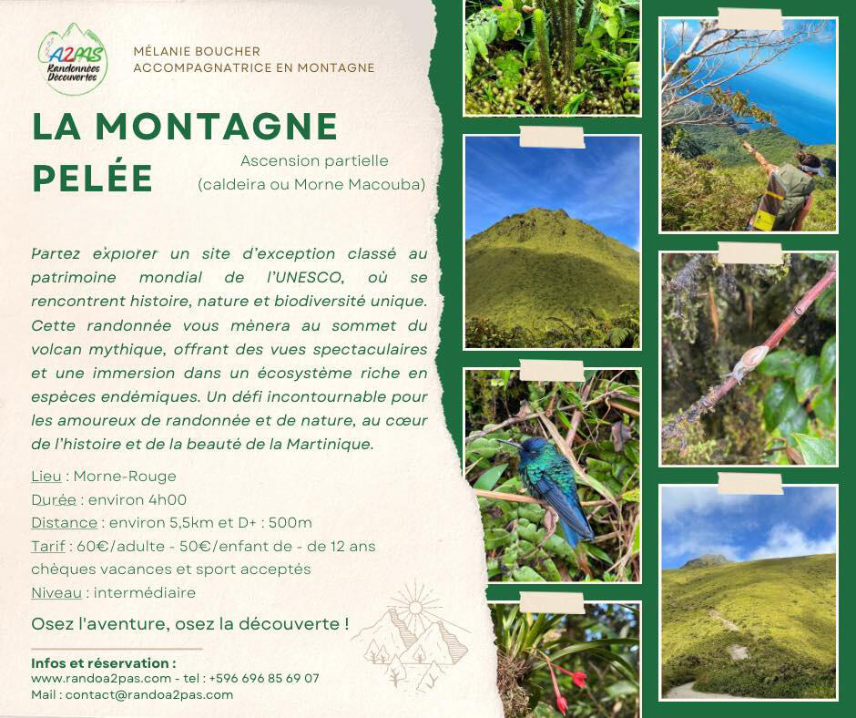 843376_481073118_618492910923863_7920944324570092505_n copie.jpg