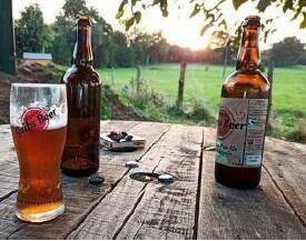 GUIBSBEER.jpg
