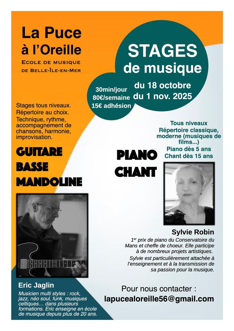 Stage de musique 1 La puce à l'oreille.jpg