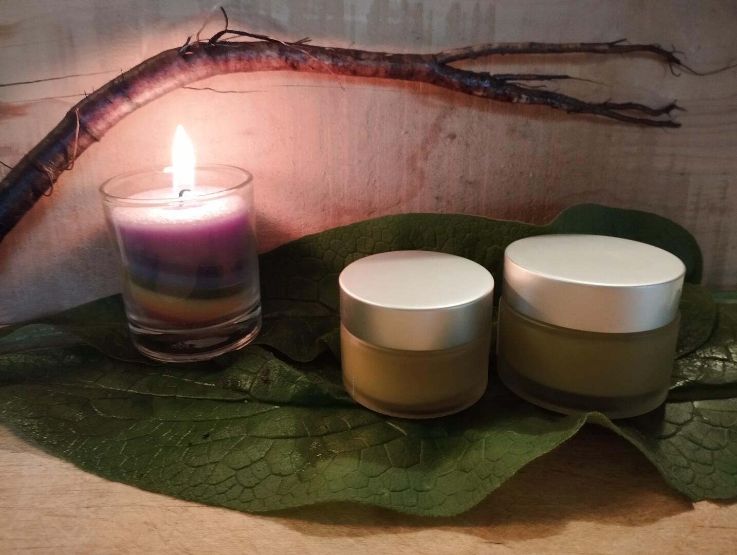 baumes - Frédérique Des graines et des brouettes.jpg