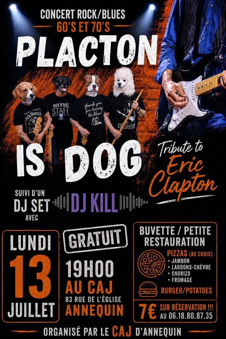 Concert Rock Blues Annequin 13 juillet.jpg