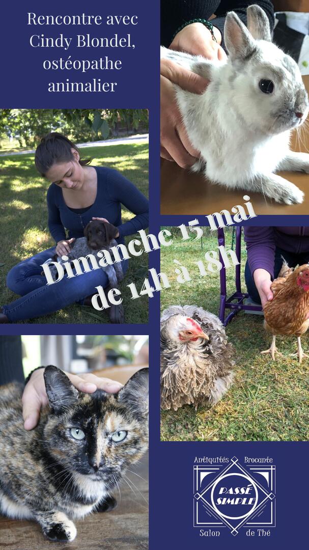 Femme et Animal de compagnie Chien Net et Minimaliste Instagram Story