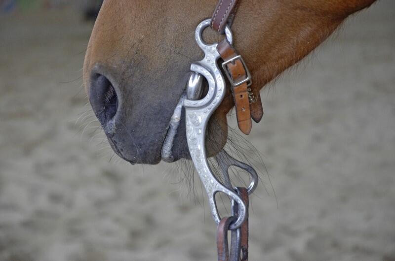 img-name-mising