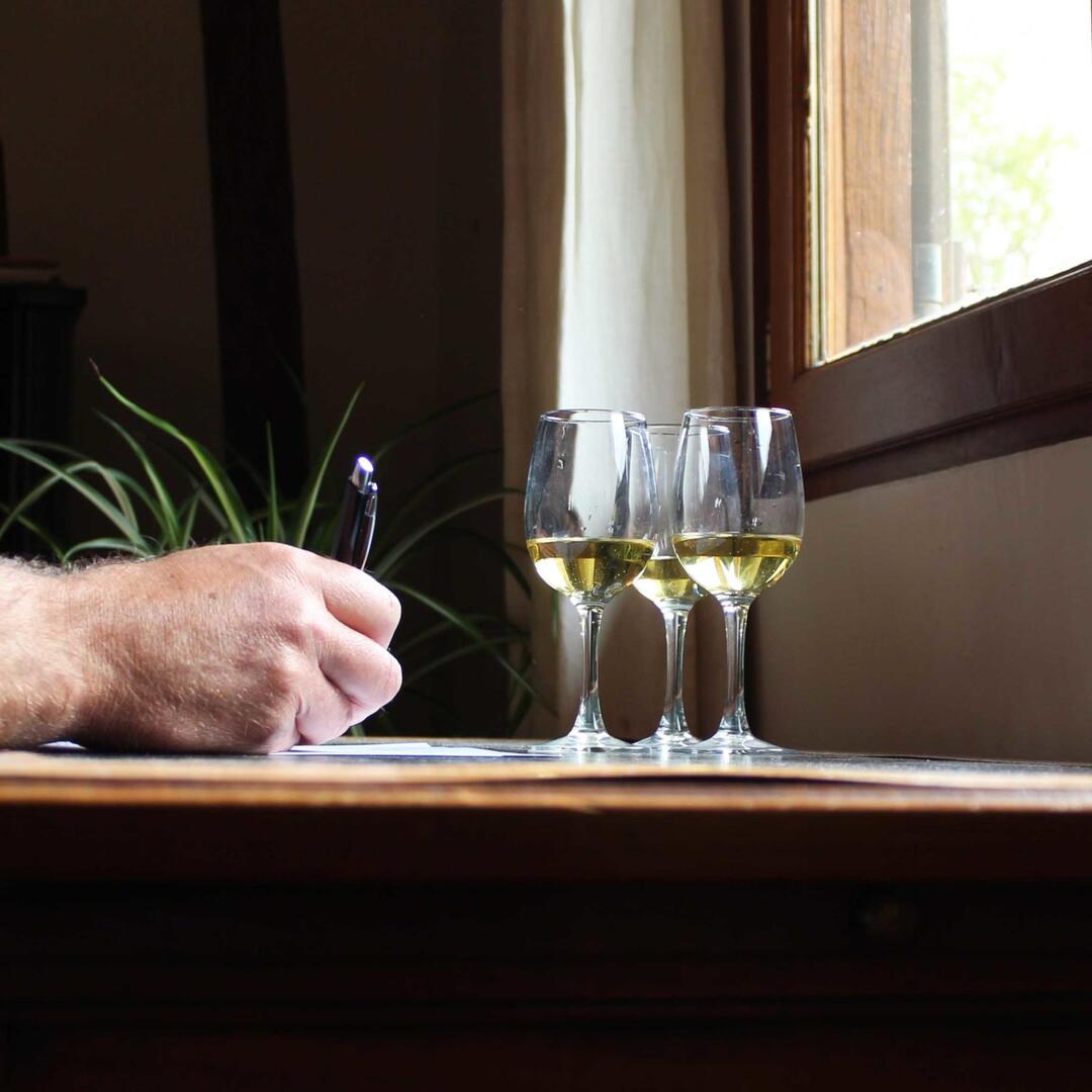 Vin de kiwi