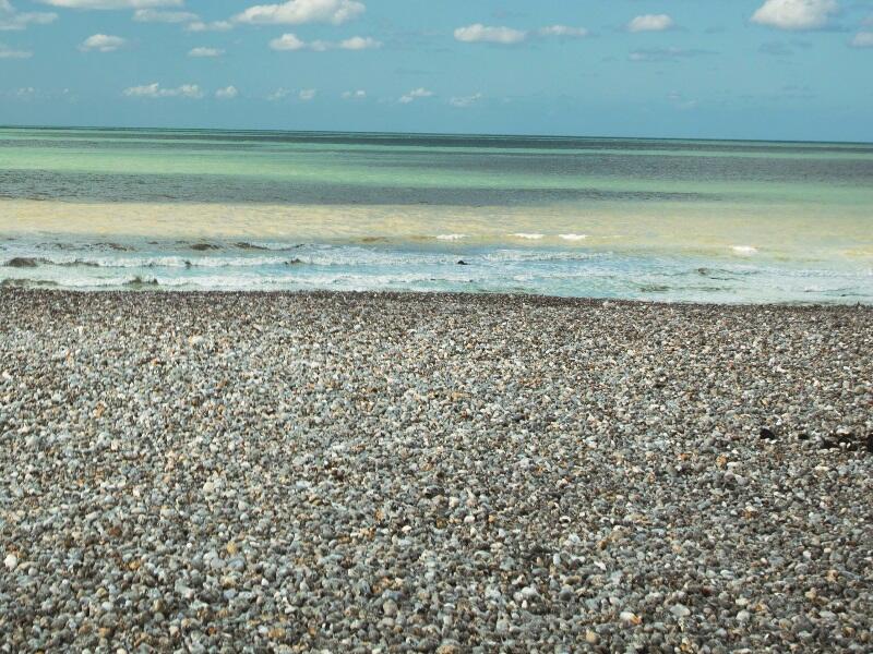 Côte d'Albâtre (800 x 600)