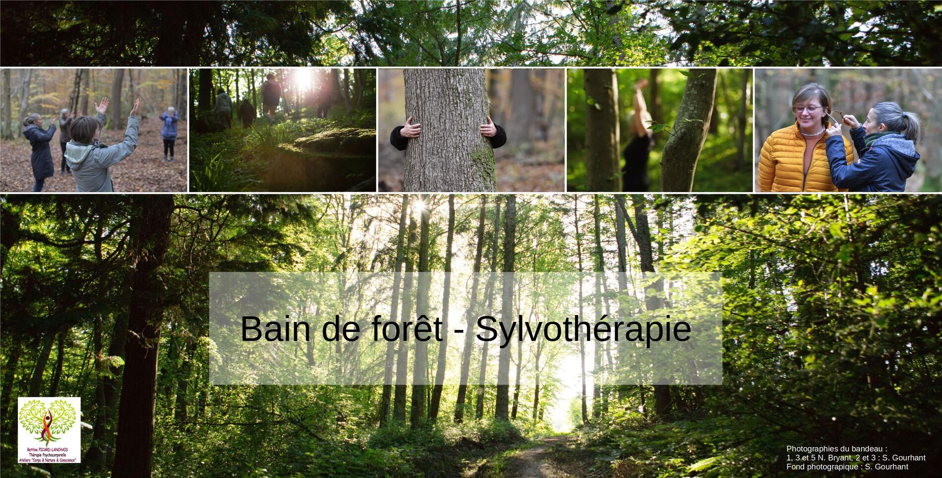 Sylvothérapie