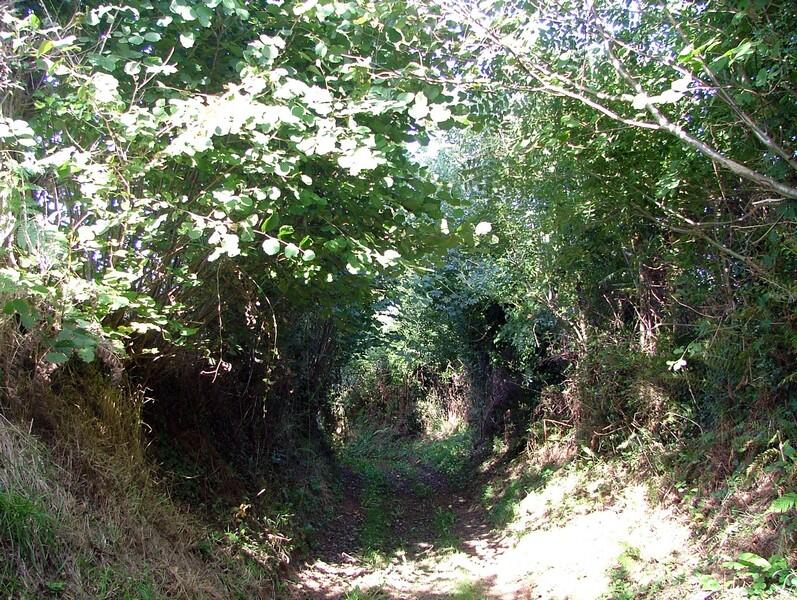 montpinchon-association-chemins-verts