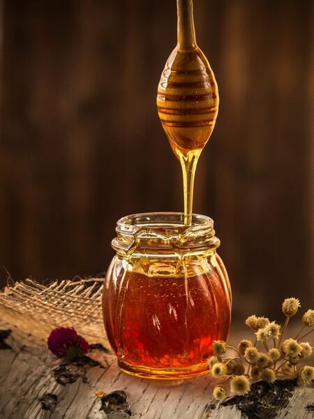 ver-abeille-de-ver