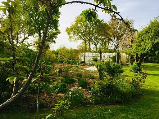 bienvenue-dans-mon-jardin-au-naturel-corcoue-sur-logne-44-fma-1