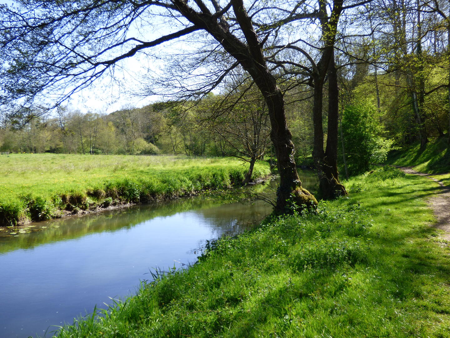 Nature