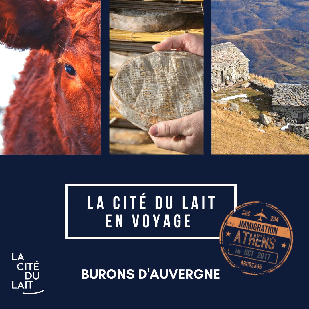 cité du lait