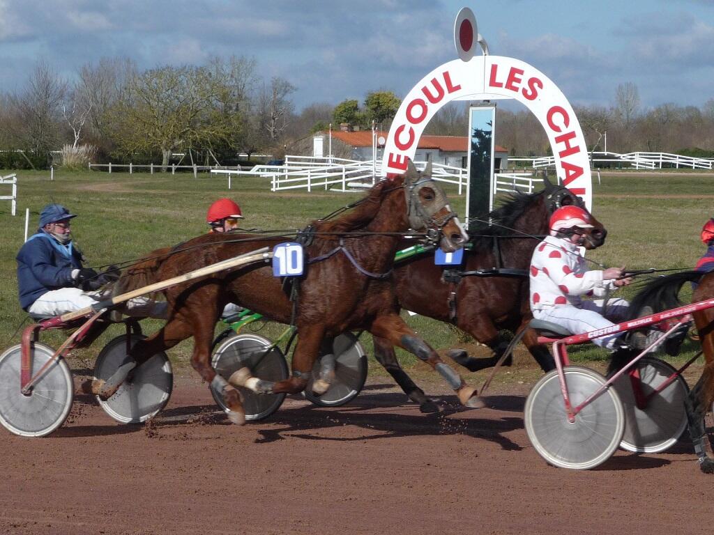 course-hippodrome-machecoul-saint-meme-44-fma-1