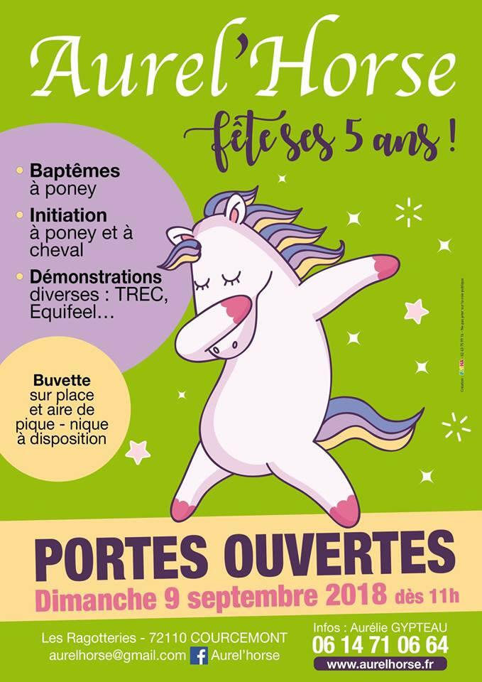 aurel'horse