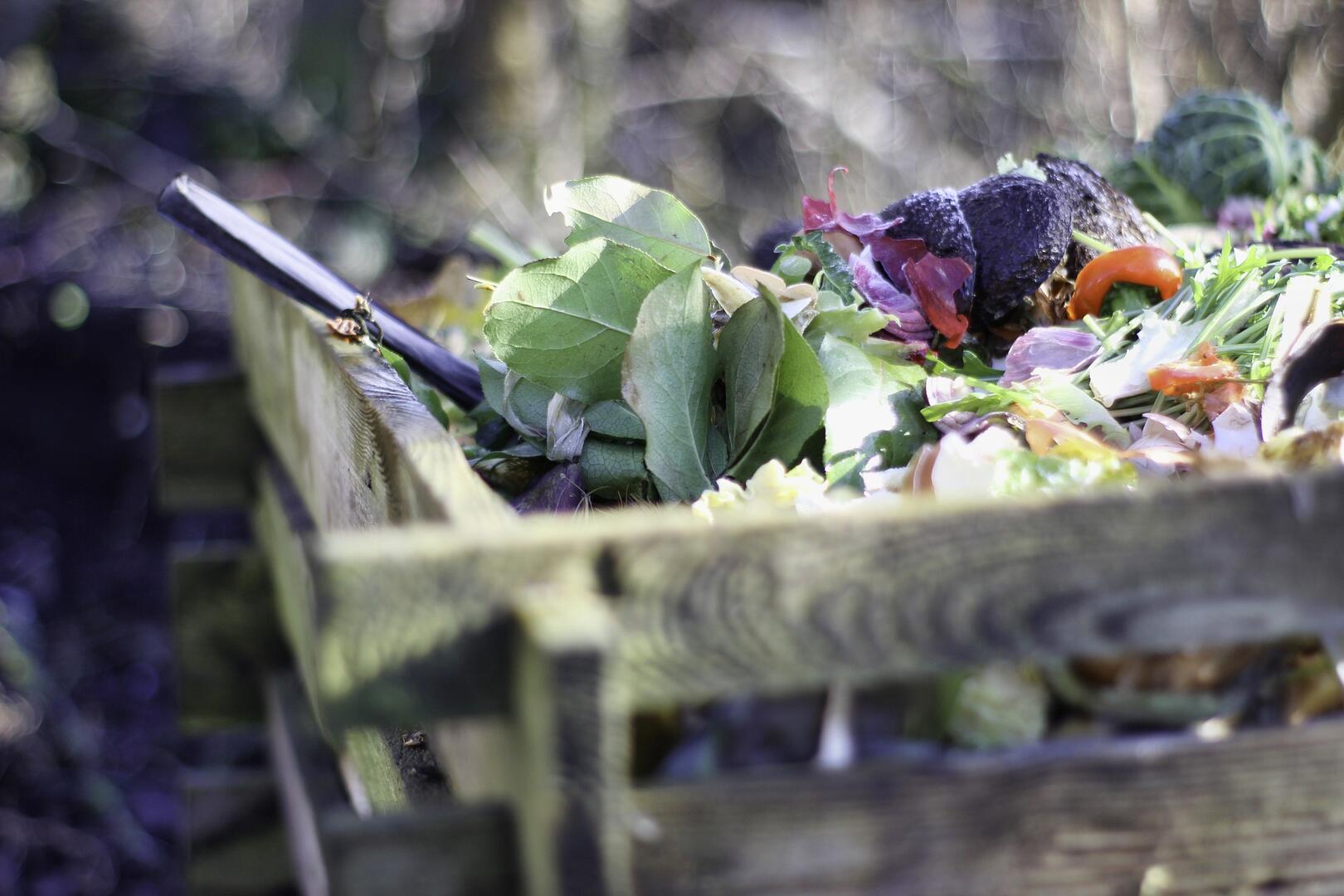 Café compost Laval
