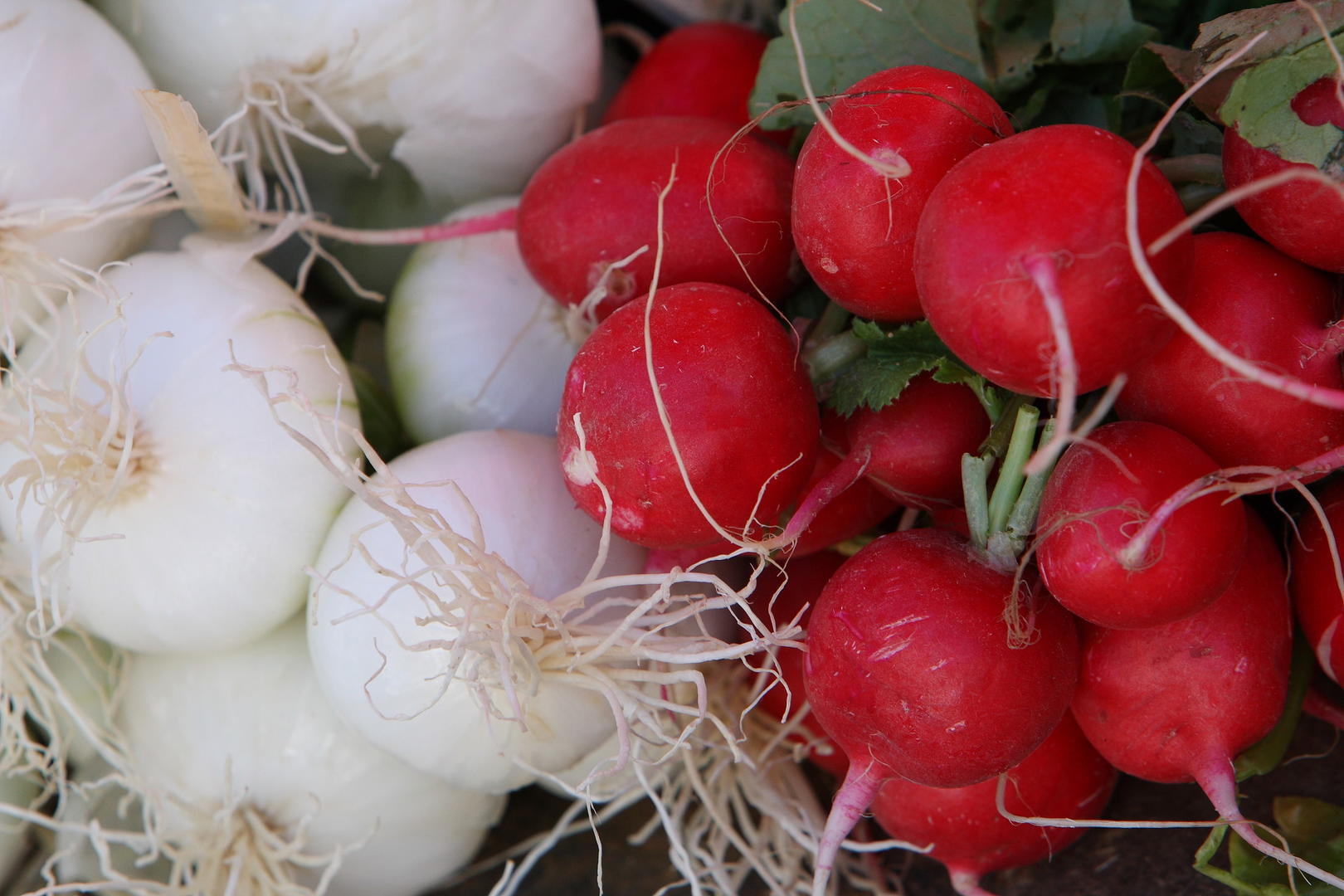 Marché Laval