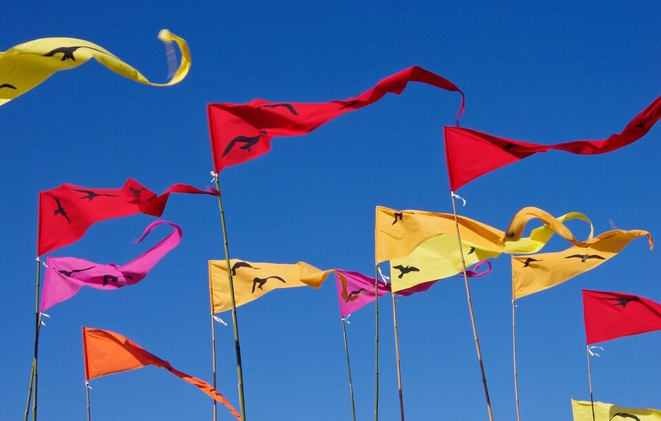 fete-village-flags-425046-960-720-2
