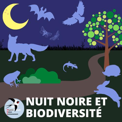 nuit et biodiversité