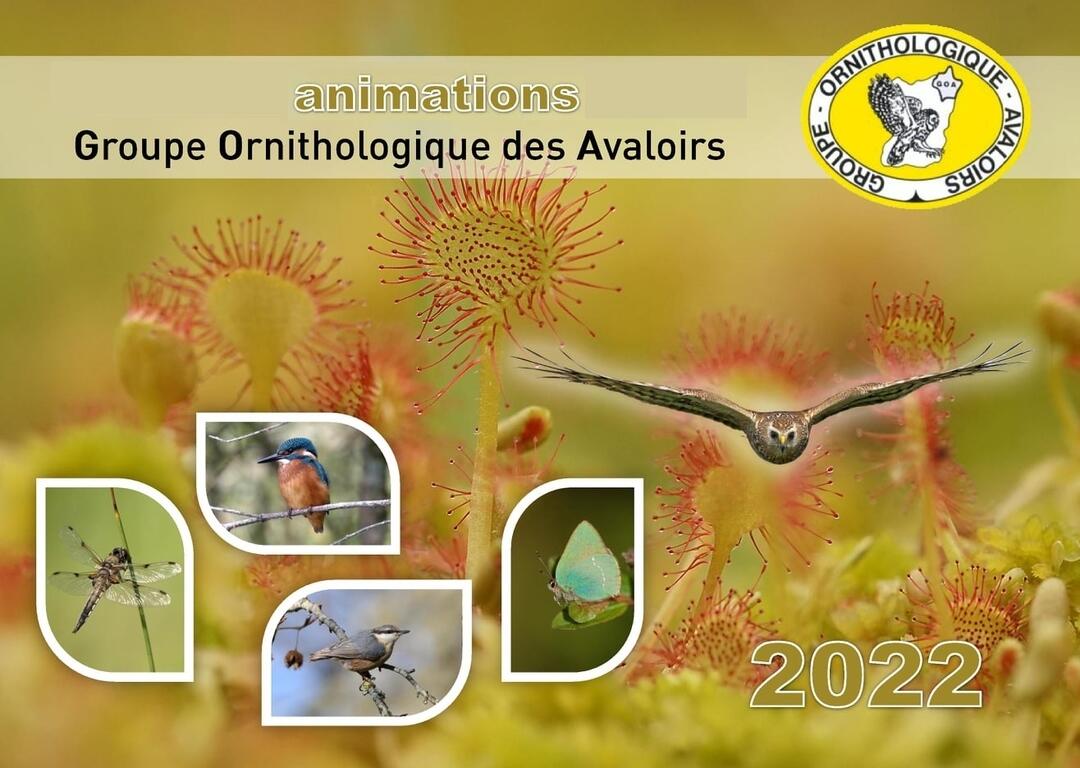 Sortie nature 2022