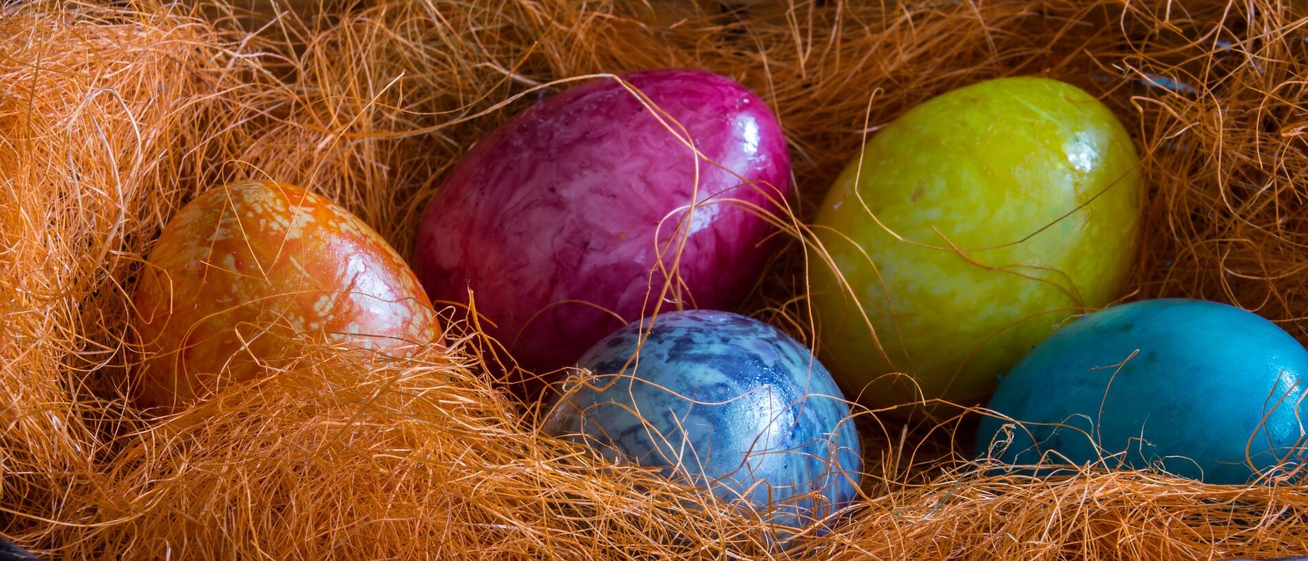 CHASSE AUX OEUFS3