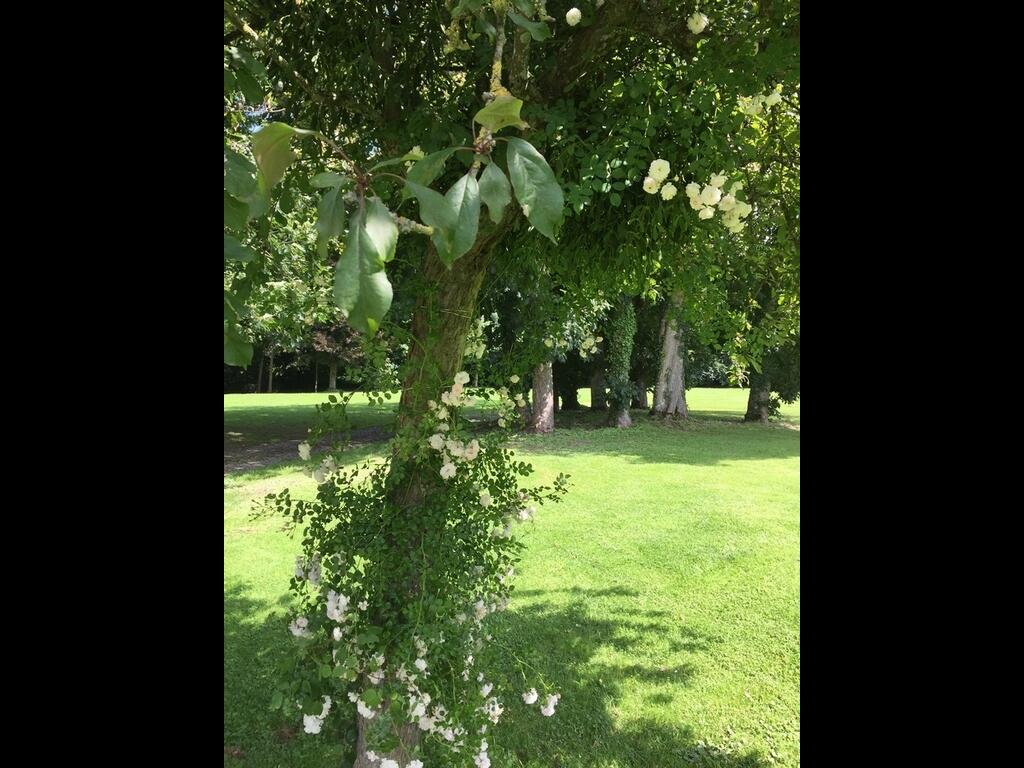 rdv-aux-jardins-mee