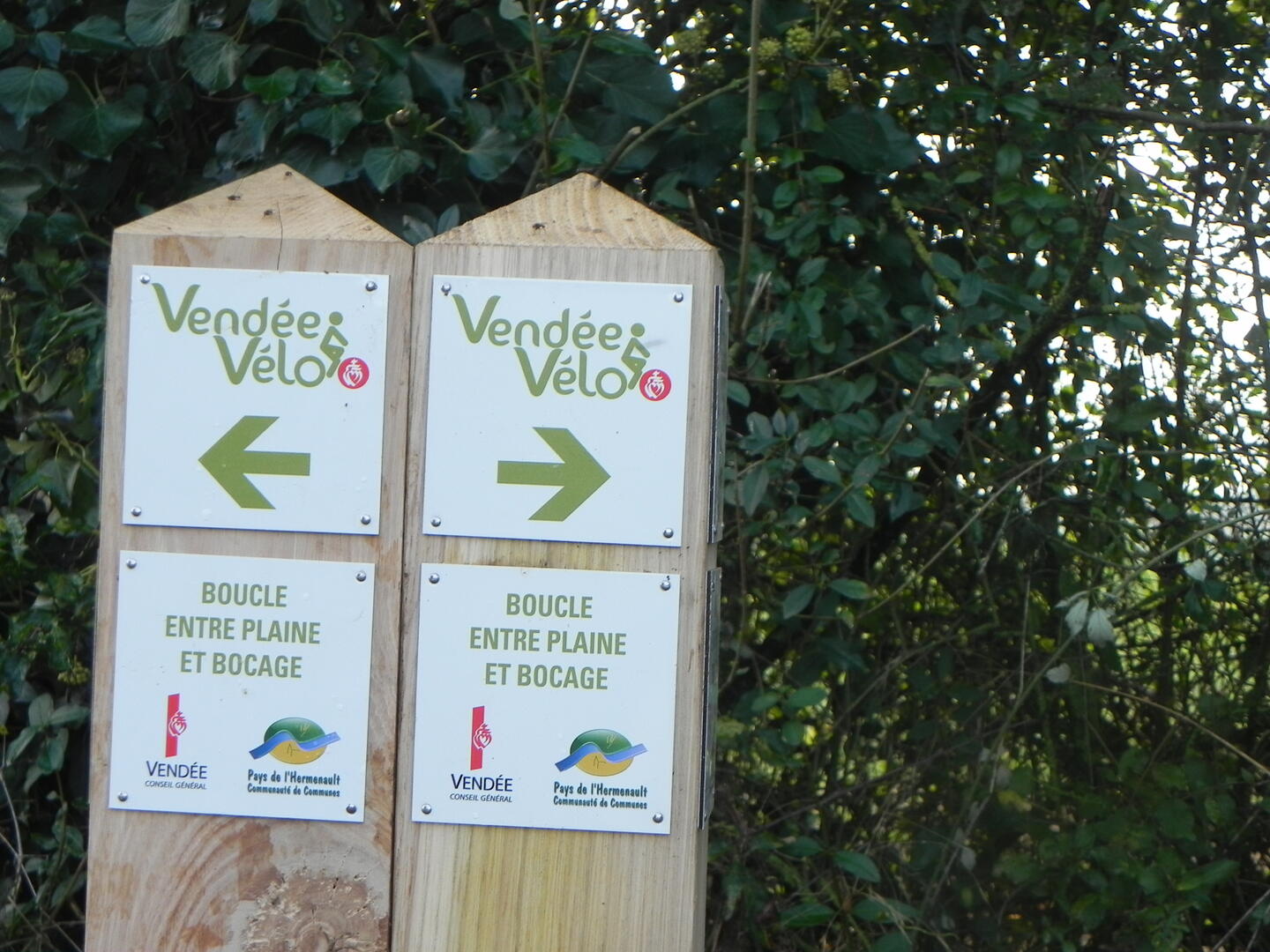 vélo-entre-plaine-et-bocage