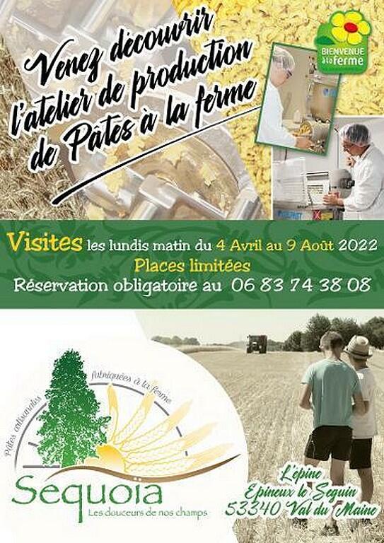 visites-sequoia-2022