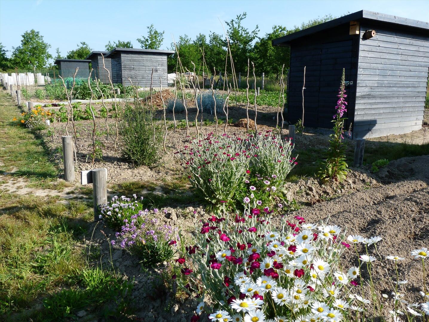 Les Petits jardins de Saint-André