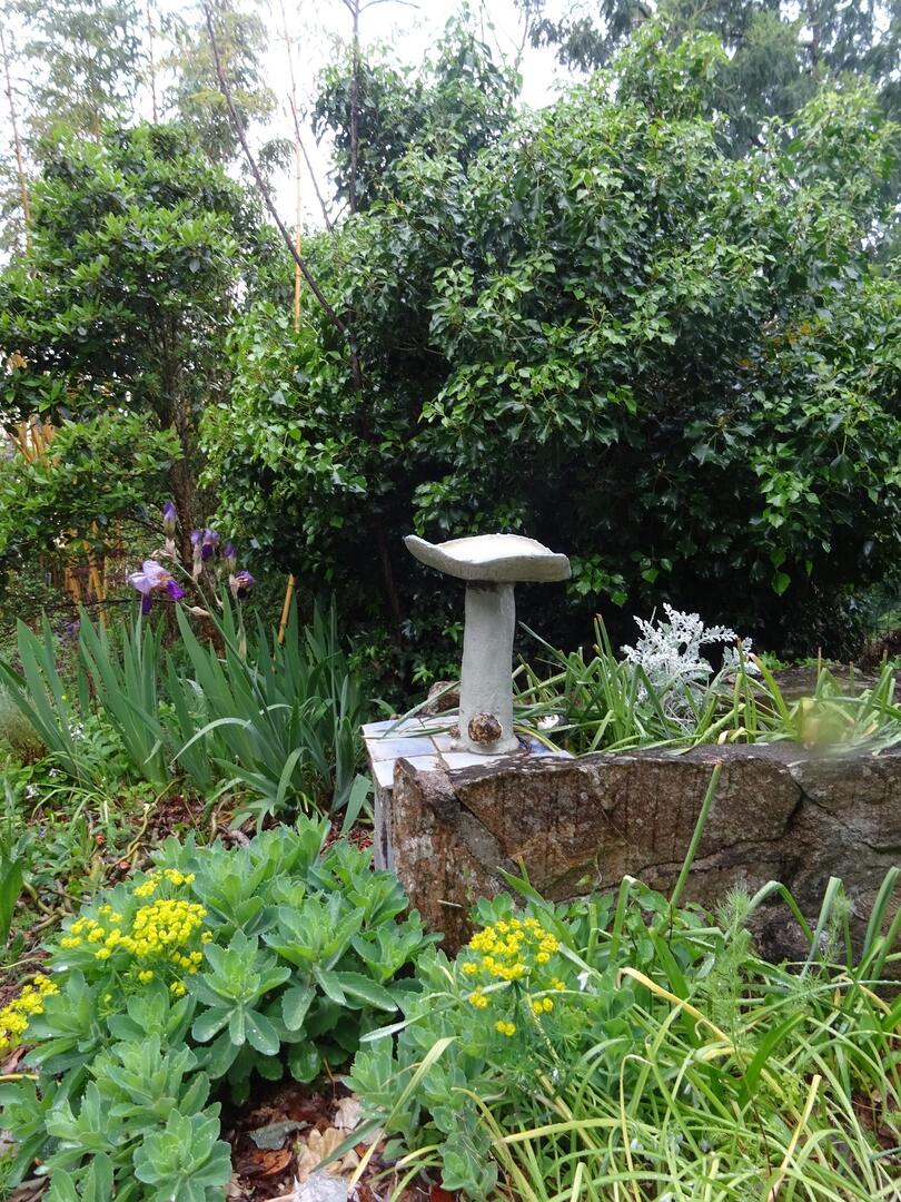 Jardin du Bois de Chateauloup