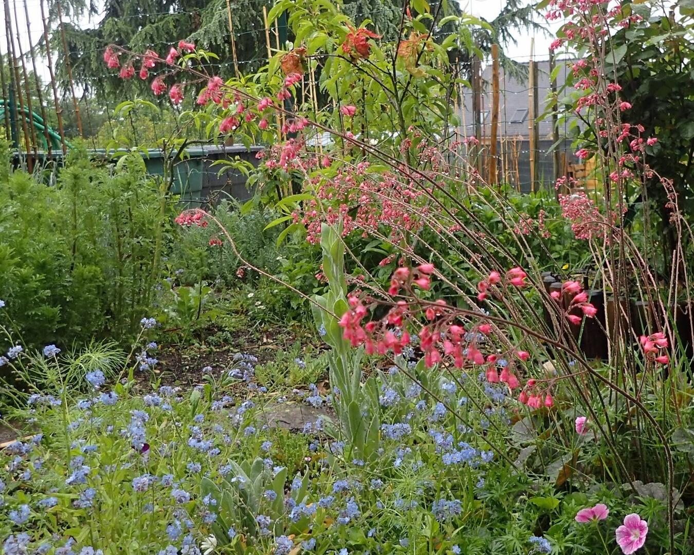 Le jardin gourmand